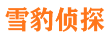 广西侦探公司